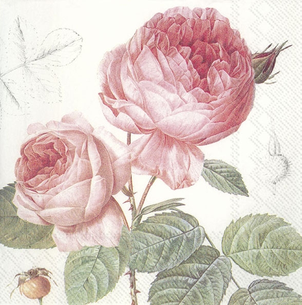 IHR Lunch Servietten Elisabeth englische Rose, zauberhaftes Motiv 33 cm x 33 cm